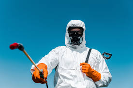 Best Termite Inspection and Treatment  in Boyne City, MI